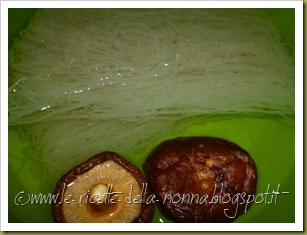 Vermicelli di riso saltati con maiale, verdure, zenzero e peperoncino verde piccante (2)