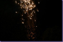fireworks 166