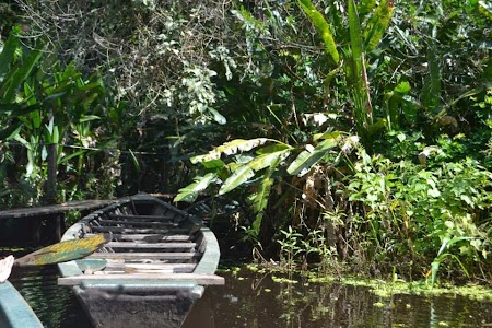 Jungla amazoniana: Barca pe Amazon