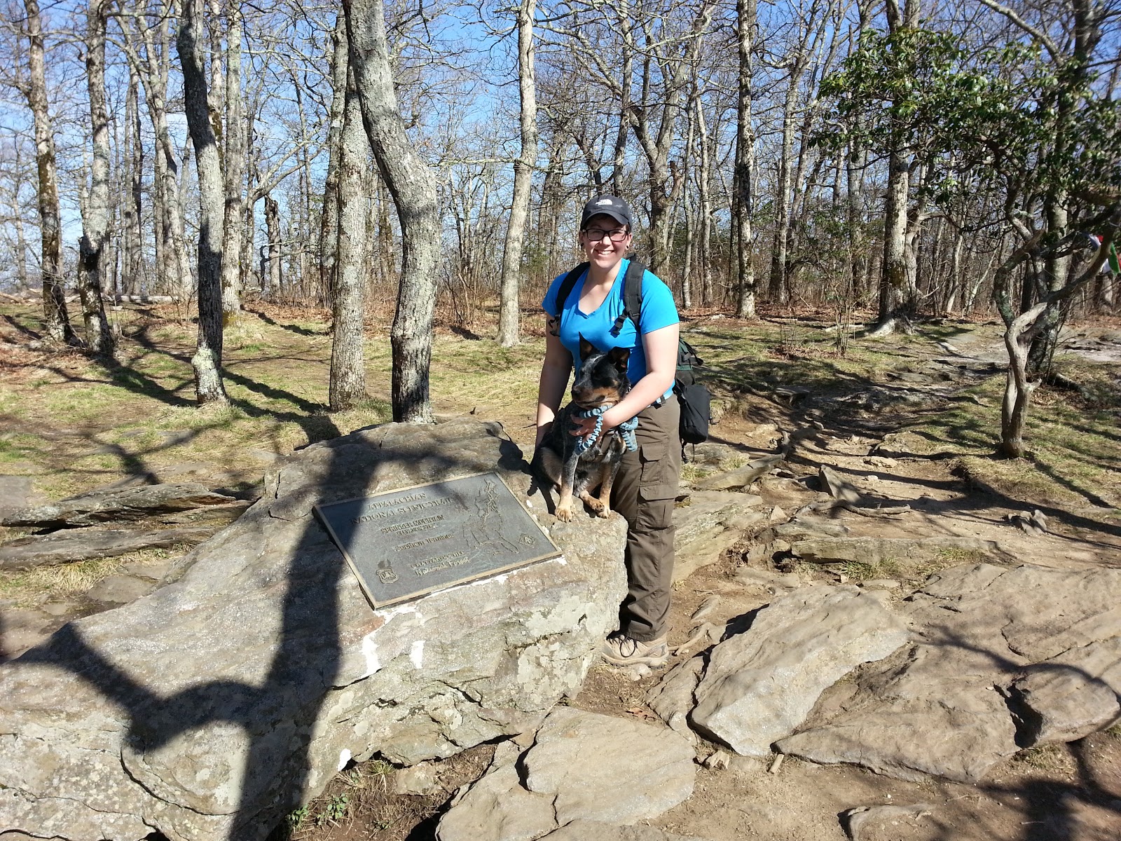 An Appalachian Trail Adventure: Amicalola Falls To Springer Mountain