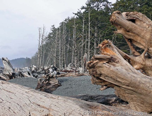 La Push Beach