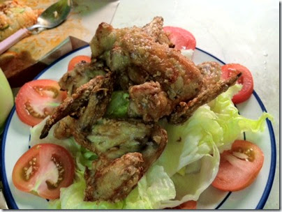 Philips Airfryer Chicken Wings