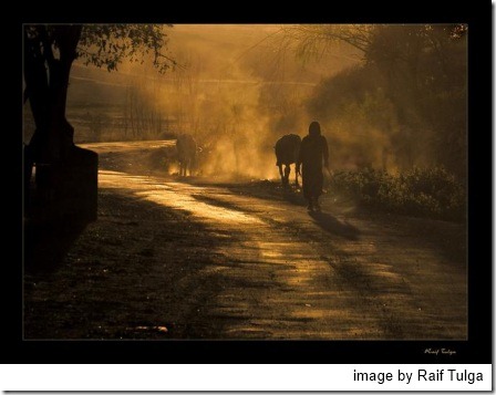 dusty-road-by-raif-tulga