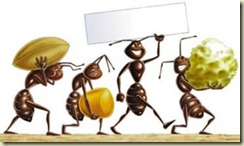 hormigas-humanos
