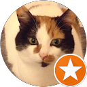Image Google de Camille