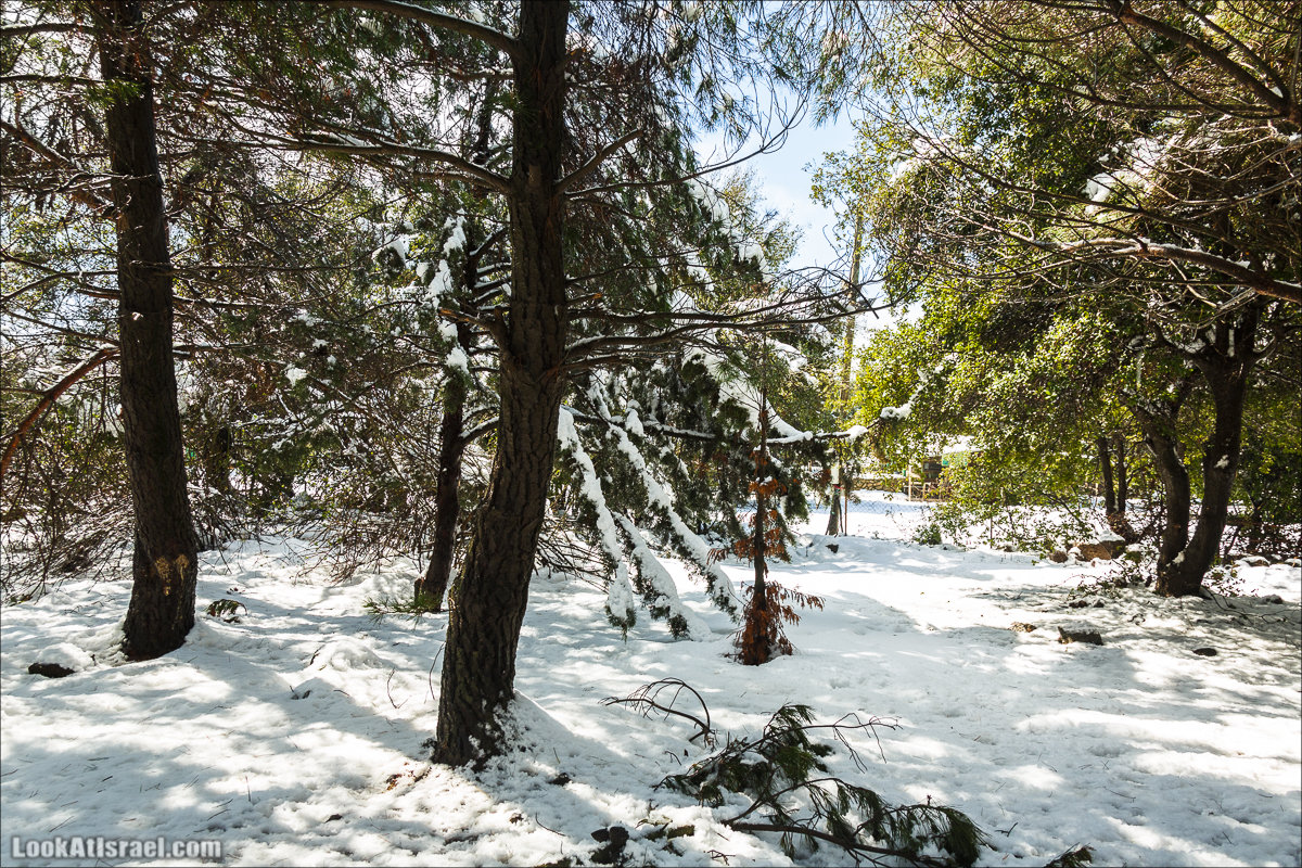 LookAtIsrael.com | Снег в Израиле, Голанские высоты и Галилея | Snow in Israel, Golan Heights and Galilee | שלג בישראל, רמת הגולן וגליל