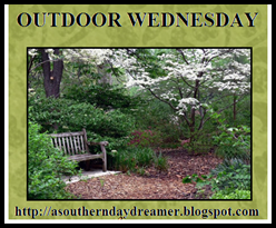 Outdoor-Wednesday-button_thumb1