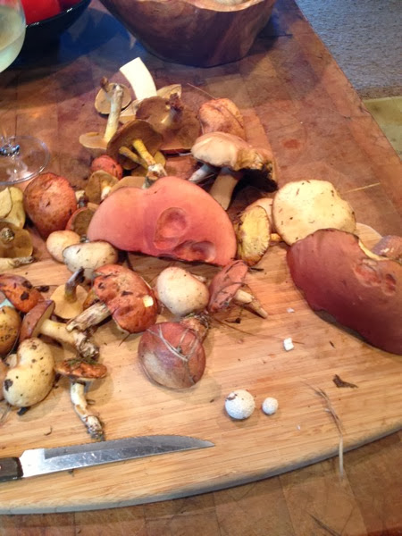 Many mushrooms