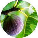 Gab Cal profile picture