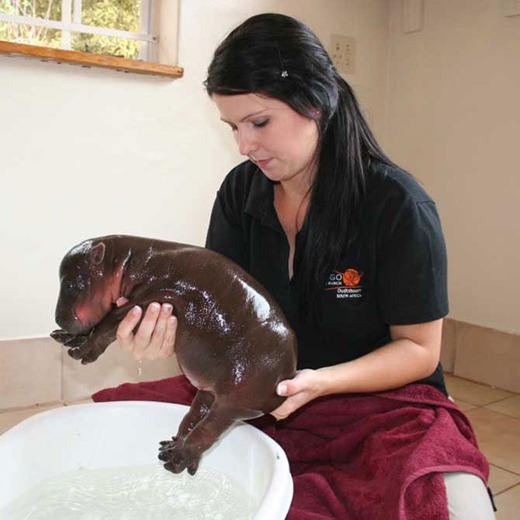 [clip_image008%255B3%255D.jpg]