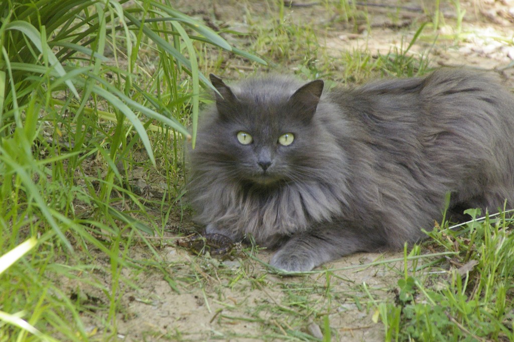 [Pentax%2520105%255B4%255D.jpg]