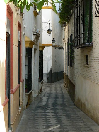9. Santa Cruz.JPG