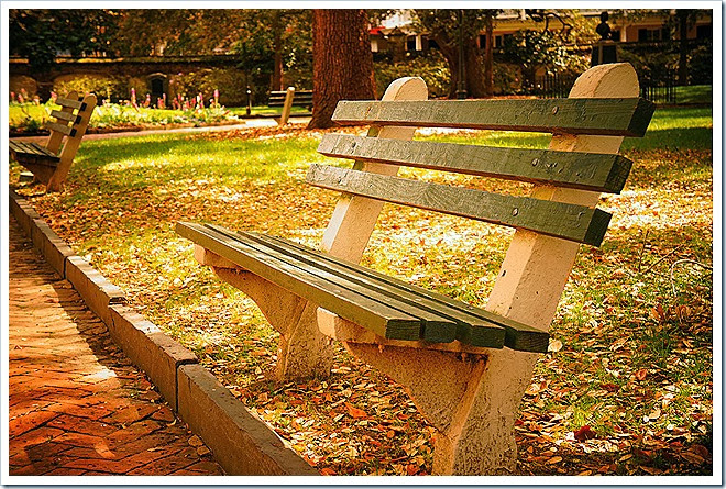 bench-seat-public-domain-pictures-1 (458)