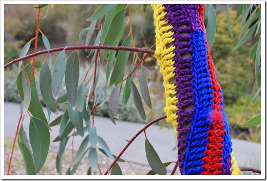 130119_UCDA_AustralianCollection_Natural-Transformations-yarn-bombing_32