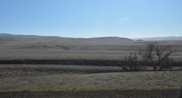 gray brown dull hills of California east of Paso Robles