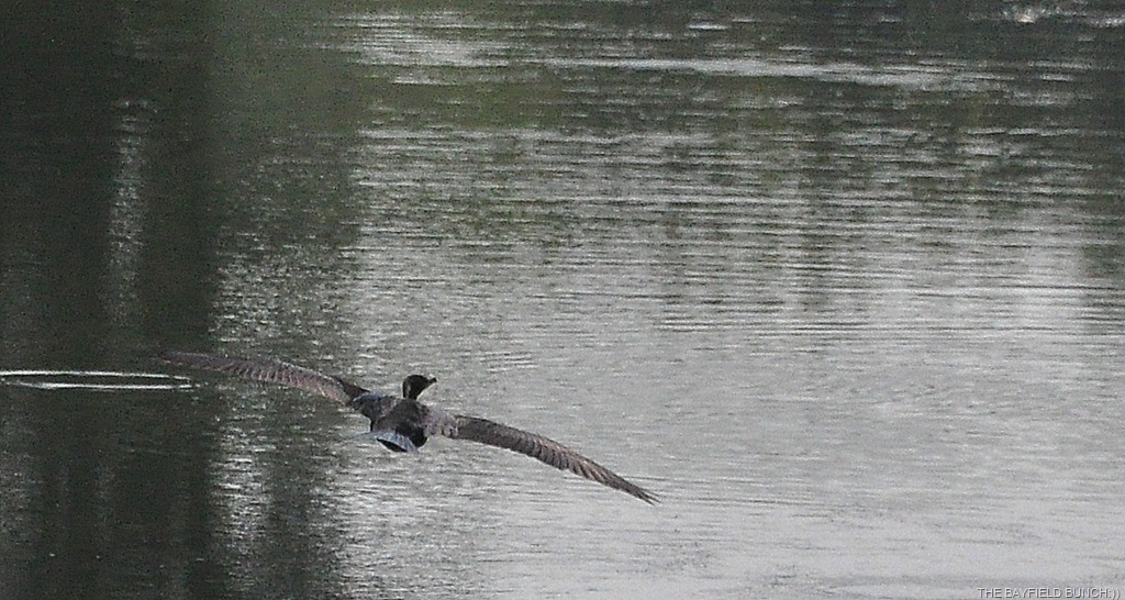 [DSC_0037%255B4%255D.jpg]