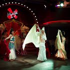 IMG_6620.jpg