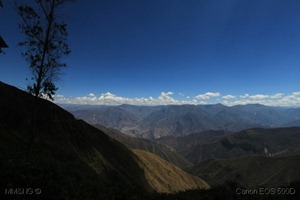 IMG_4417 IMG_4417