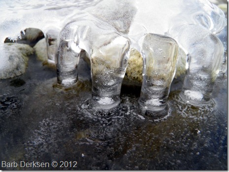 Barb Derksen Ice 2012  (11)