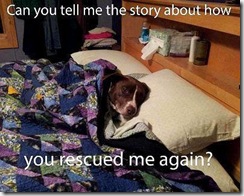 Story-how you-adopted me