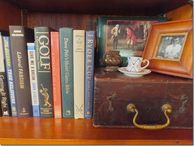 library shelves5 library shelves5