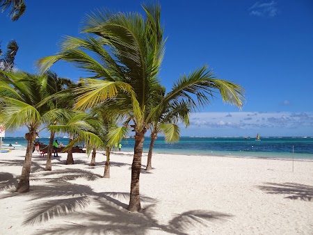 Vacanta Republica Dominicana: Granita dintre plaja hotelului si plaja publica
