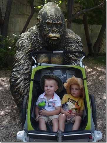 Monkeys at the zoo