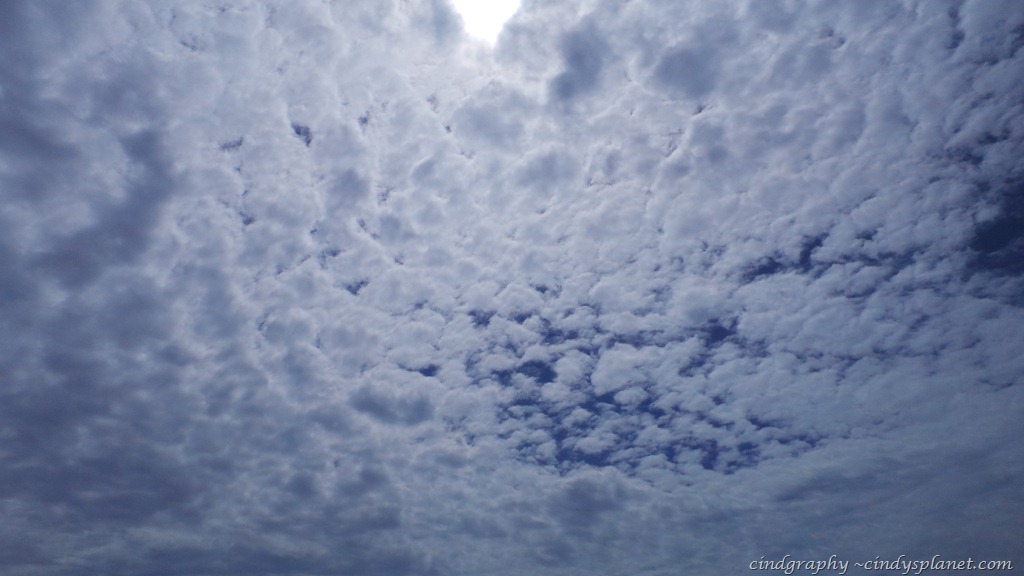 [20130120_114418%255B4%255D.jpg.webp]