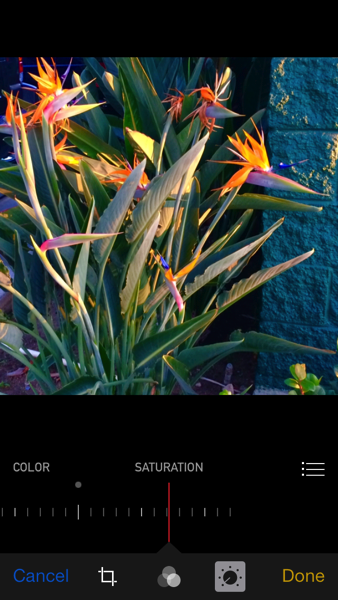 IMG_7949.PNG iOS 8 Photos app almost full saturation