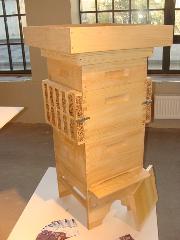 [DSC090231%255B1%255D.jpg]