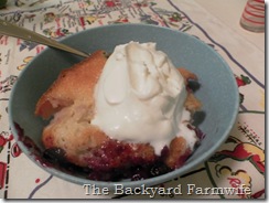 buttery blueberry nectarine cobbler - The Backyard Farmwife