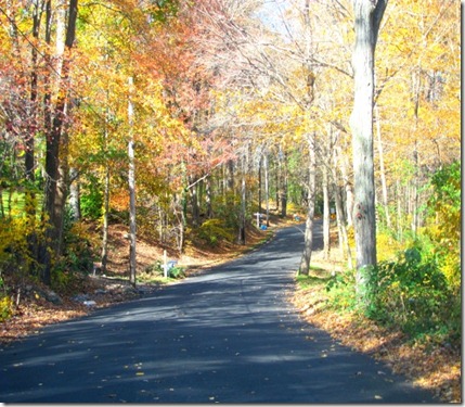 Country road (640x480)