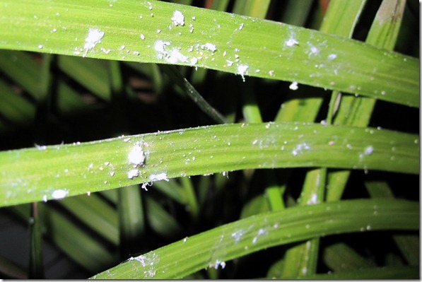 IMG_0018 IMG_0018