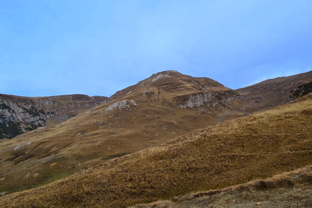 [DSC_70773.jpg]