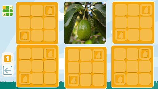 Free Fruits Matching Game