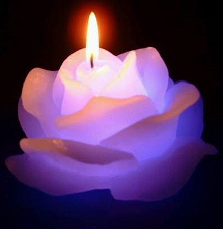 [dreaming%2520rose%2520candle%255B9%255D.jpg]