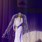 IMG_7695.jpg