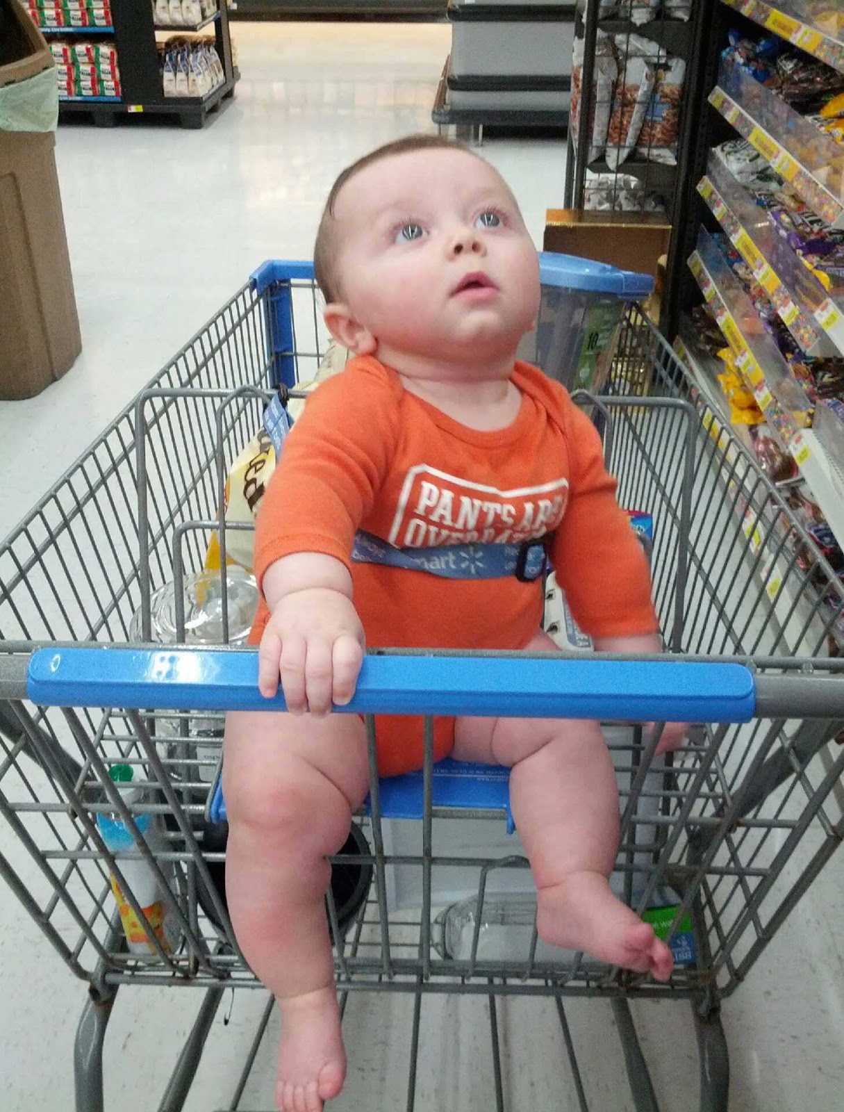 Everett Reid Big boy in the shopping cart.