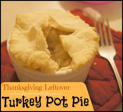 Turkey Pot Pie is a delicious recipe and a great way to use up all that leftover Thanksgiving Turkey #recipes #thanksgiving #turkey