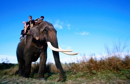 [Chitwan-National-Park-420x0%255B2%255D.jpg]