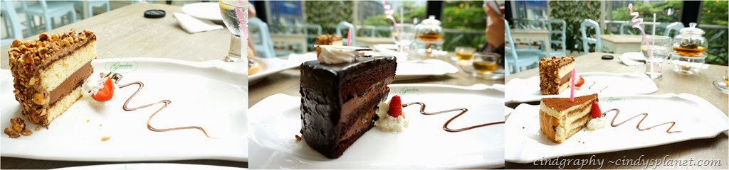 [Garden%2520Bday%2520Celebration10-horz%255B2%255D.jpg.webp]