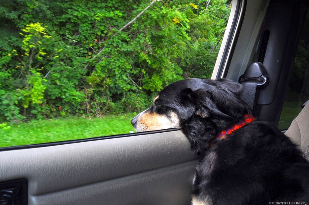 [DSC_0015%255B4%255D.jpg]