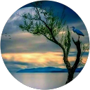 Kimi S.s profile picture