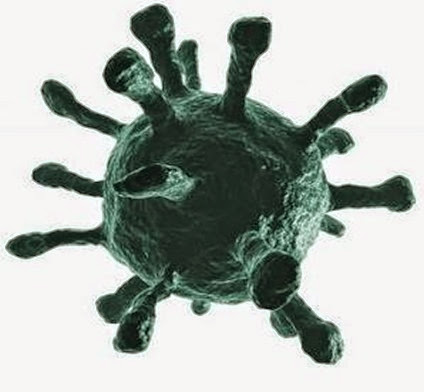 chicken-pox-virus-cell-5410