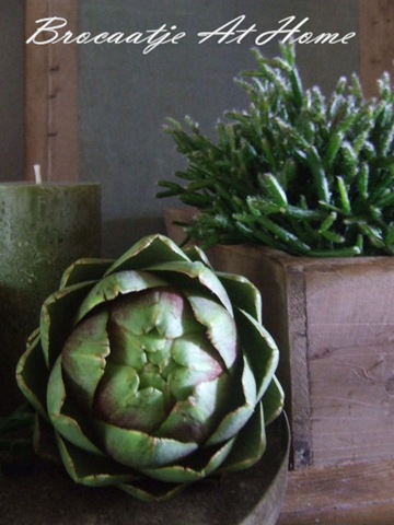 [20110827_4%255B3%255D.jpg]