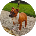 Image Google de SBT Production