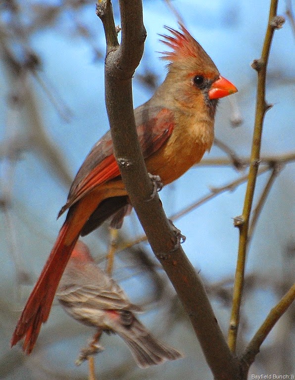 [DSC_3464%255B8%255D.jpg]