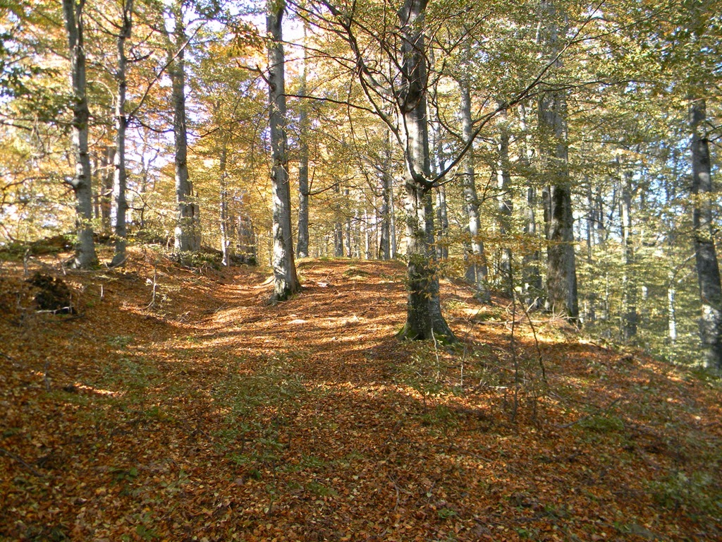 [DSCN69613.jpg]