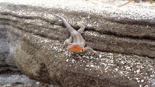 [DSC00607%255B1%255D.jpg]