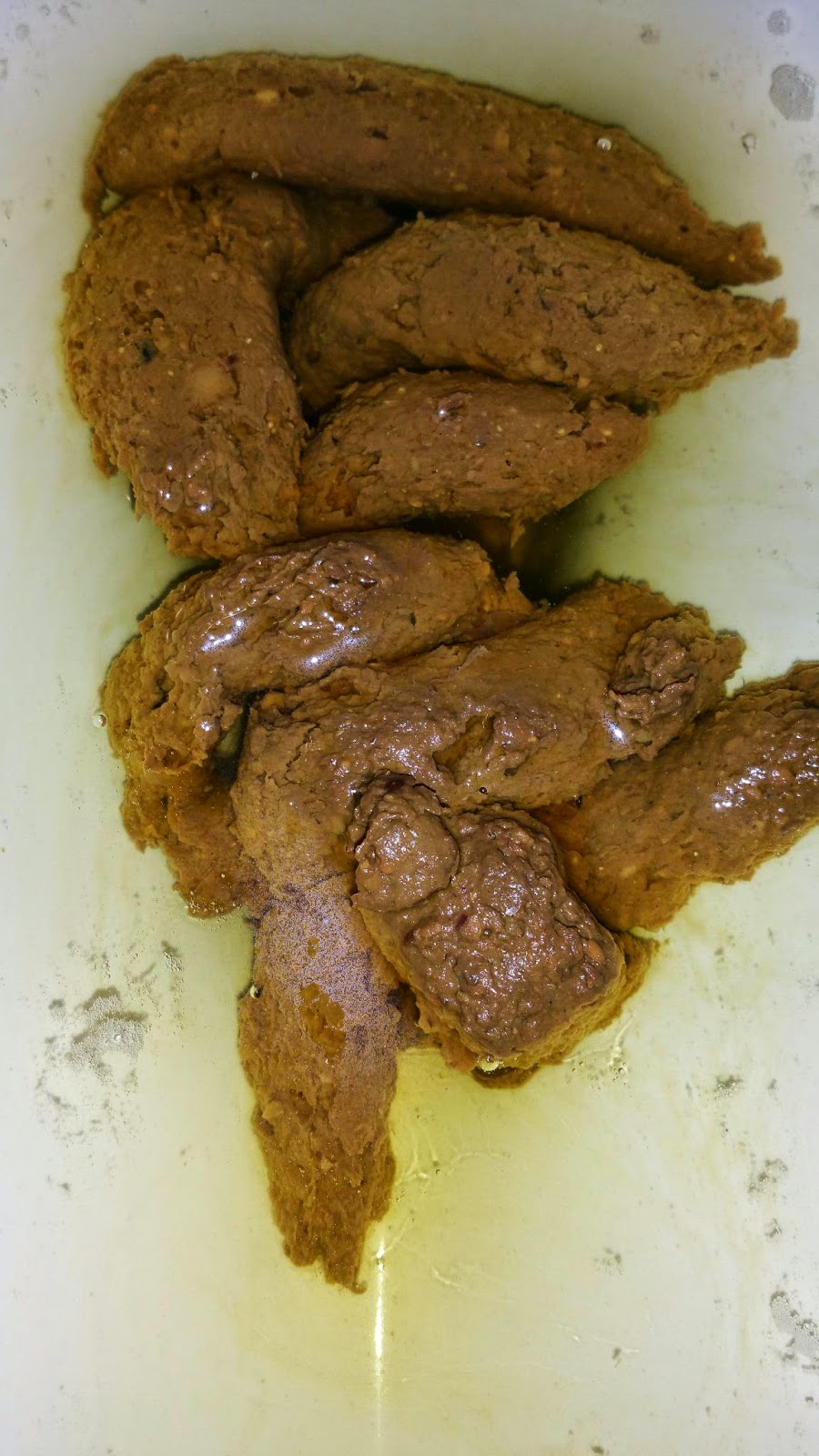My Daily Poo 2 Jan Friday Glormph